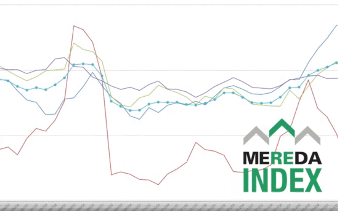 MEREDA Releases the MEREDA Index Report for 2024